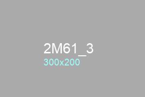 2M61_3