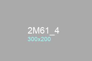 2M61_4