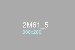 2M61_5